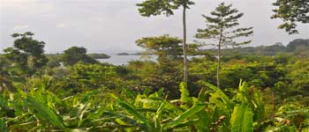 Vue mer de la finca de 2,5 has de Bocas del Toro, Panama