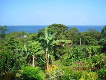 Vue de la maison de Bocas del Toro, Panama