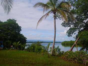 Vue du terrain de 1.25 has de Bocas del Toro, Panama