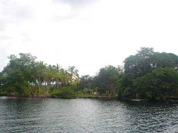 Vue du terrain de 1.25 has de Bocas del Toro, Panama
