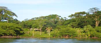 Vue du terrain de 2.5 has de bocas del toro, Panama