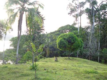 Vue de Bocas del Toro, Panama