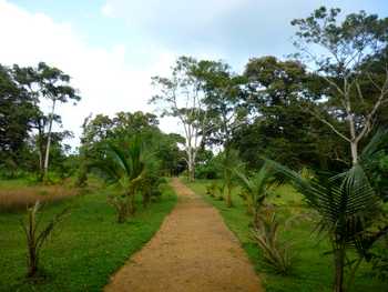 Vue du terrain de Bocas del Toro, Panama
