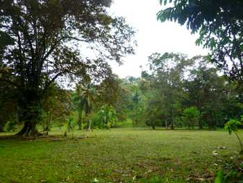Vue du terrain de Bocas del Toro, Panama