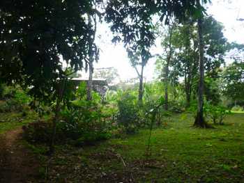 Vue du terrain de Bocas del Toro, Panama