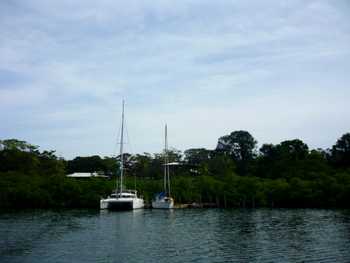 Vue des terrains de Bocas del toro, Panama