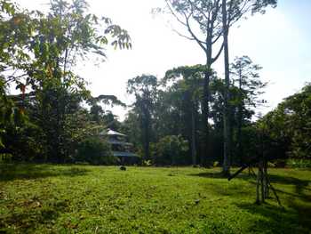 Vue des terrains de Bocas del toro, Panama