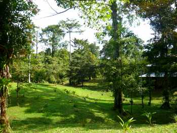 Vue des terrains de Bocas del toro, Panama