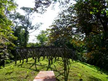 Vue des terrains de Bocas del toro, Panama