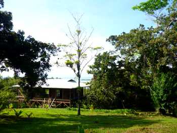 Vue des terrains de Bocas del toro, Panama