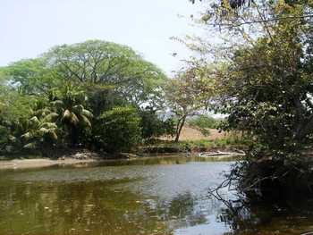 Vue du terrain de 33707m2 de la Golden Coast, Costa Rica